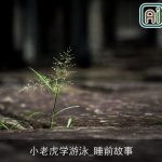 小老虎学游泳_睡前故事