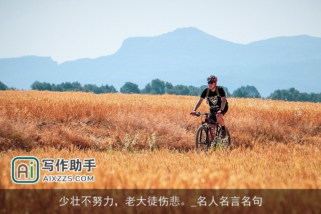 少壮不努力，老大徒伤悲。_名人名言名句