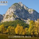 山上五棵树绕口令_绕口令