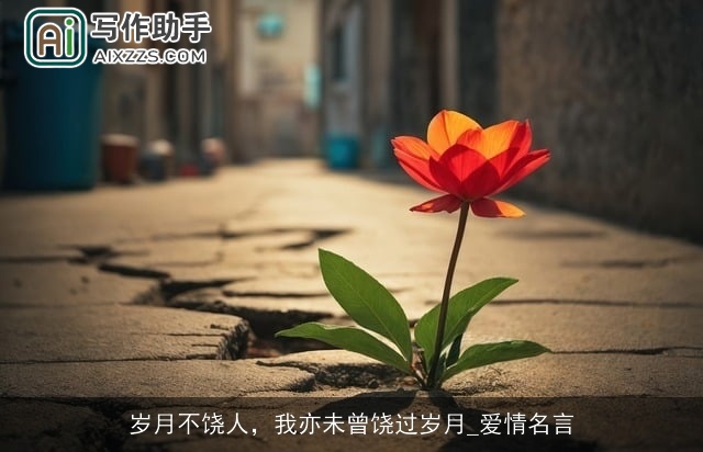 岁月不饶人，我亦未曾饶过岁月_爱情名言