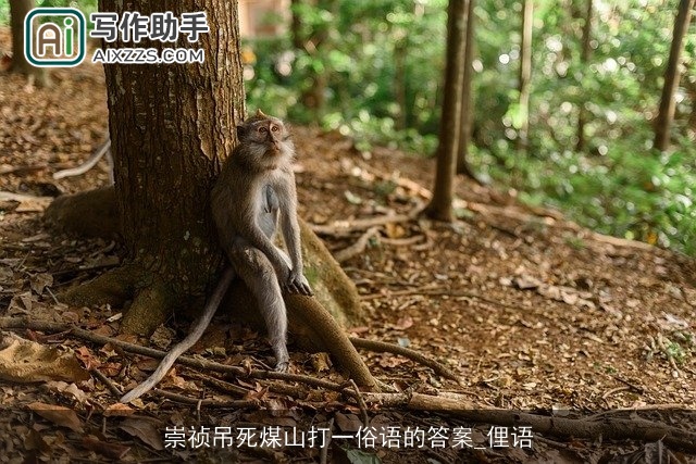 崇祯吊死煤山打一俗语的答案_俚语