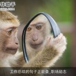 工作总结的句子正能量_职场励志