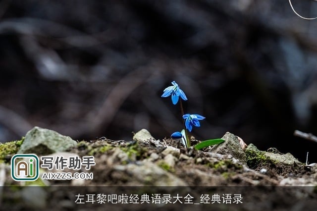 左耳黎吧啦经典语录大全_经典语录