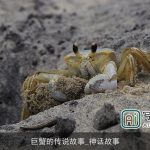 巨蟹的传说故事_神话故事
