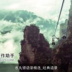 市丸银语录精选_经典语录