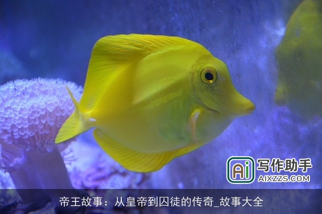 帝王故事：从皇帝到囚徒的传奇_故事大全