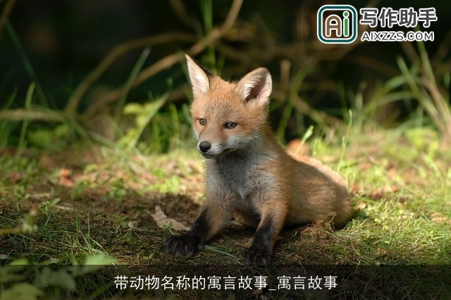 带动物名称的寓言故事_寓言故事