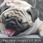 带有六字的绕口令训练孩子口才_绕口令