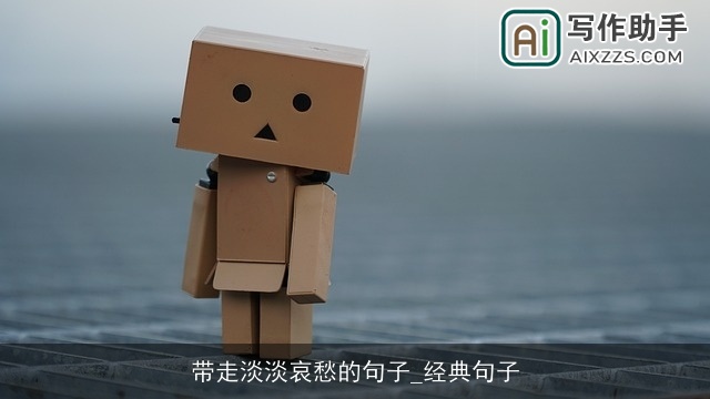 带走淡淡哀愁的句子_经典句子