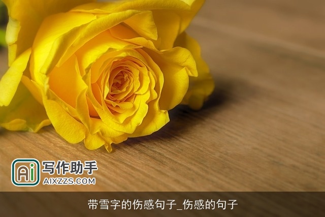 带雪字的伤感句子_伤感的句子