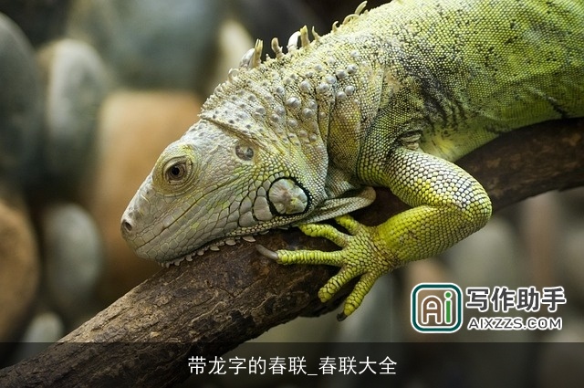 带龙字的春联_春联大全