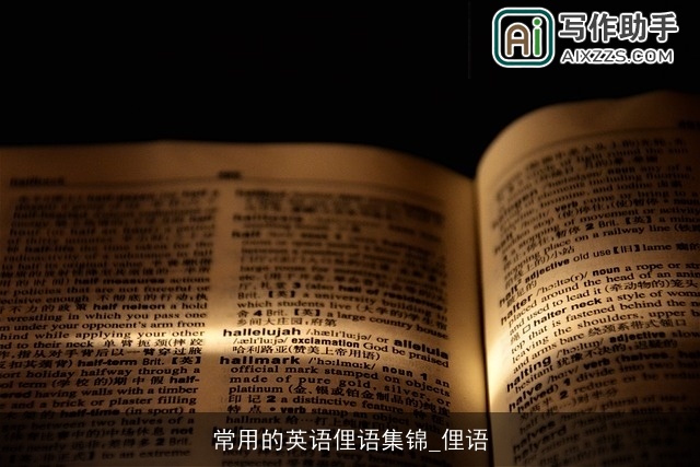 常用的英语俚语集锦_俚语