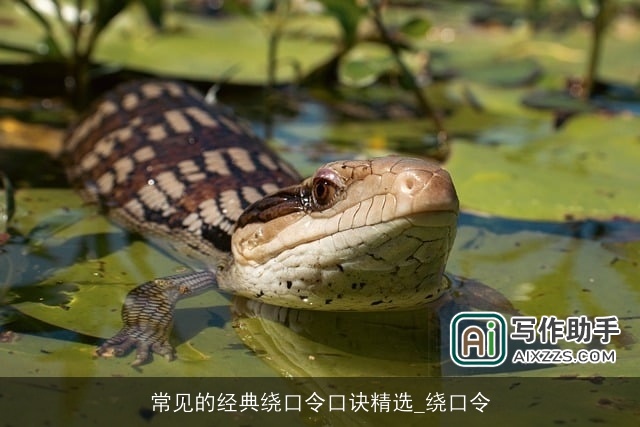 常见的经典绕口令口诀精选_绕口令