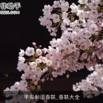 平安和谐春联_春联大全