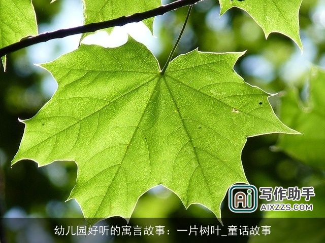 幼儿园好听的寓言故事：一片树叶_童话故事