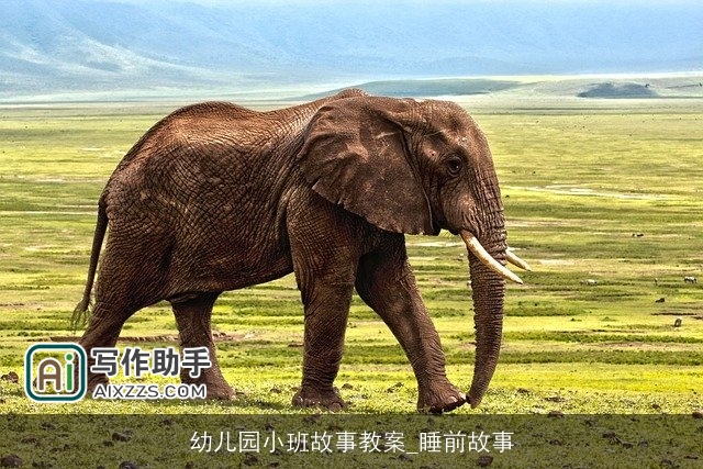 幼儿园小班故事教案_睡前故事