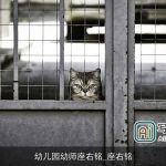 幼儿园幼师座右铭_座右铭