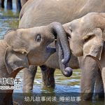 幼儿故事阅读_睡前故事