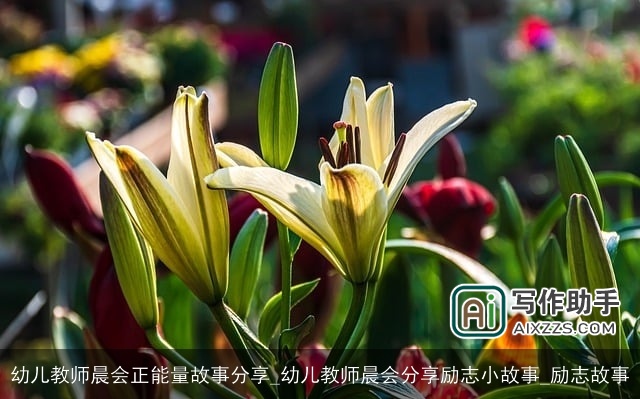 幼儿教师晨会正能量故事分享_幼儿教师晨会分享励志小故事_励志故事