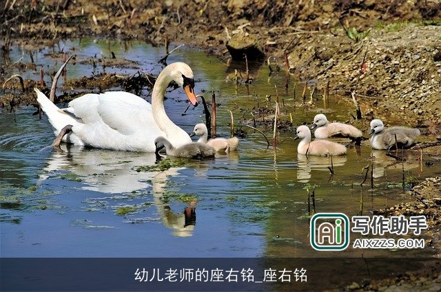 幼儿老师的座右铭_座右铭