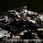 广东话脑筋急转弯_脑筋急转弯大全