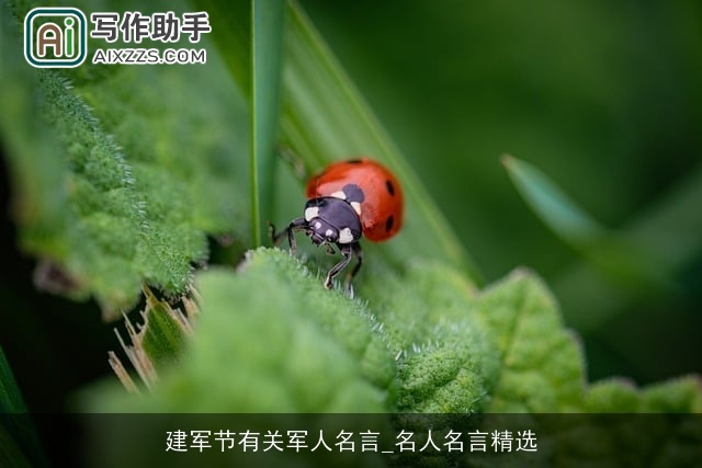 建军节有关军人名言_名人名言精选