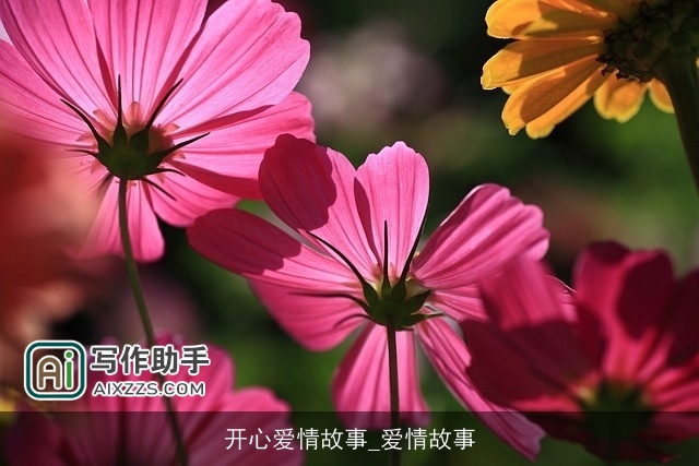 开心爱情故事_爱情故事