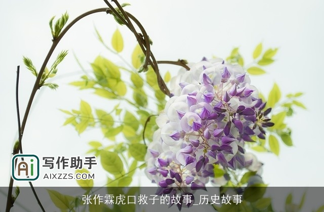 张作霖虎口救子的故事_历史故事