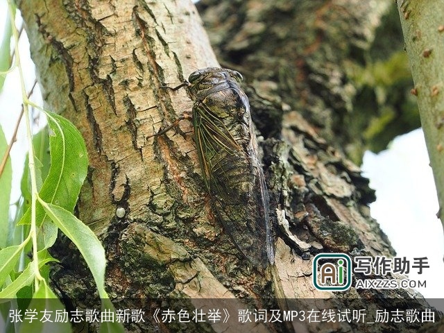 张学友励志歌曲新歌《赤色壮举》歌词及MP3在线试听_励志歌曲