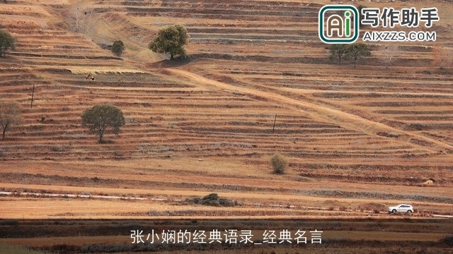 张小娴的经典语录_经典名言