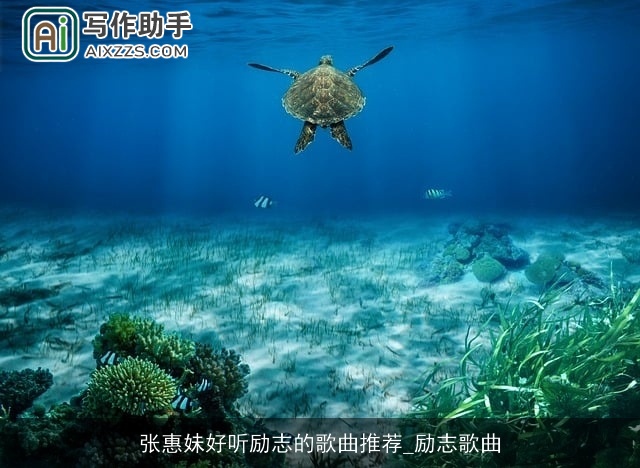 张惠妹好听励志的歌曲推荐_励志歌曲