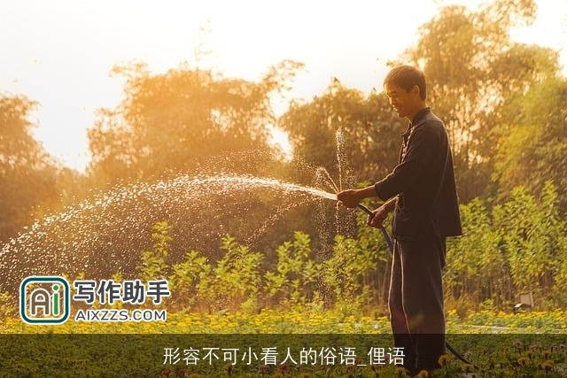 形容不可小看人的俗语_俚语