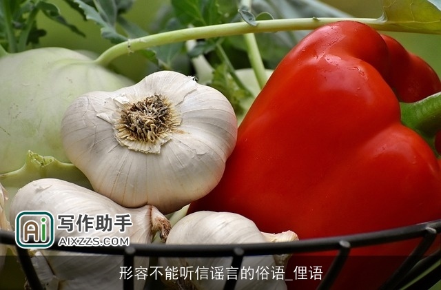 形容不能听信谣言的俗语_俚语