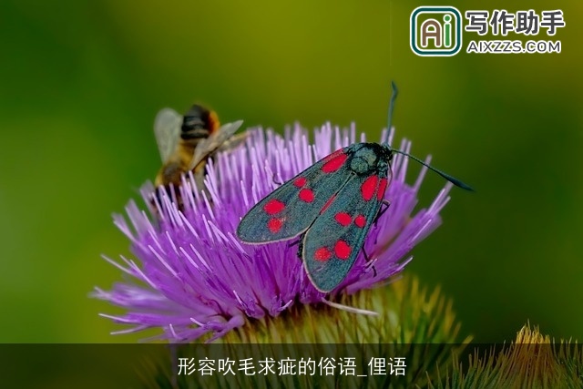 形容吹毛求疵的俗语_俚语