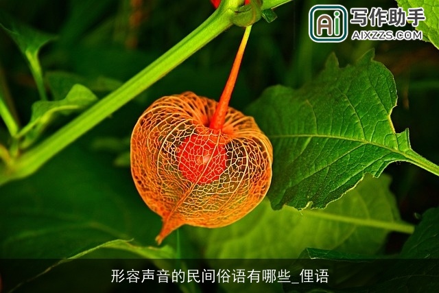 形容声音的民间俗语有哪些_俚语