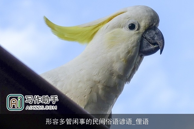 形容多管闲事的民间俗语谚语_俚语