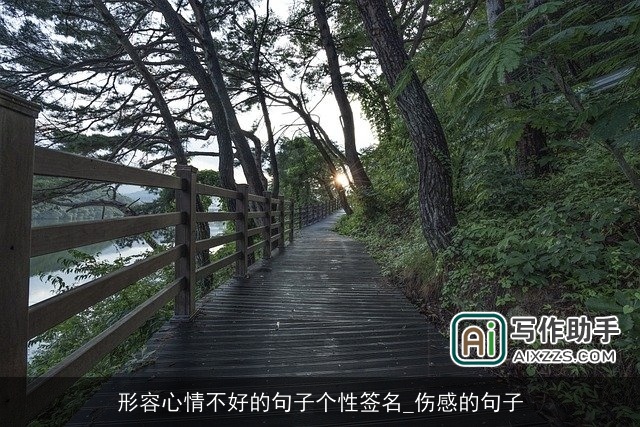 形容心情不好的句子个性签名_伤感的句子