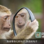 形容最伤心的句子_伤感的句子