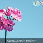 形容烟花的伤感句子_伤感的句子