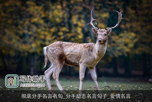 彻底分手名言名句_分手励志名言句子_爱情名言