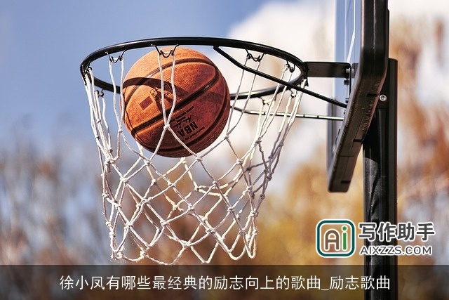 徐小凤有哪些最经典的励志向上的歌曲_励志歌曲