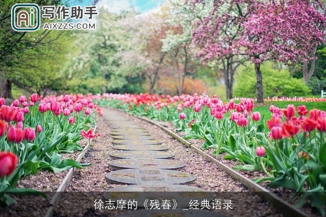 徐志摩的《残春》_经典语录