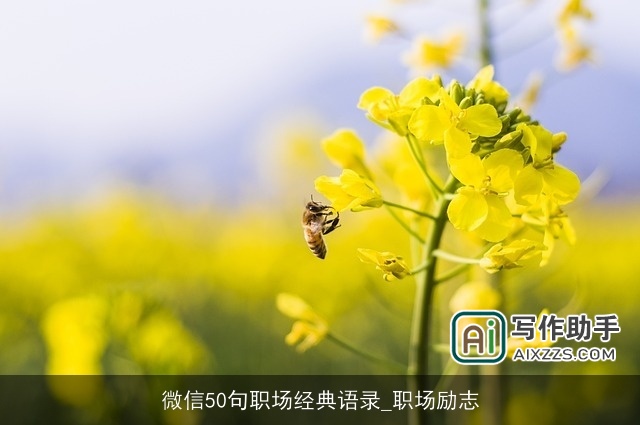 微信50句职场经典语录_职场励志