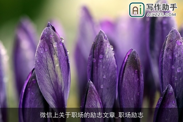 微信上关于职场的励志文章_职场励志