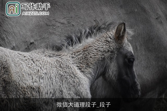 微信大道理段子_段子