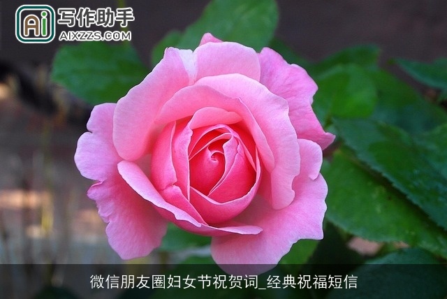 微信朋友圈妇女节祝贺词_经典祝福短信