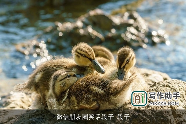 微信朋友圈笑话段子_段子