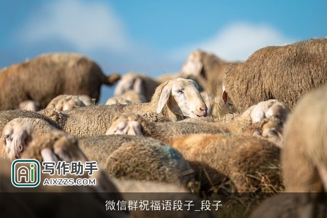 微信群祝福语段子_段子