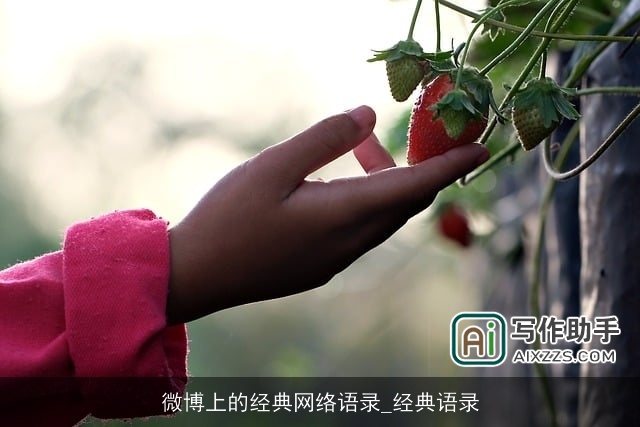 微博上的经典网络语录_经典语录