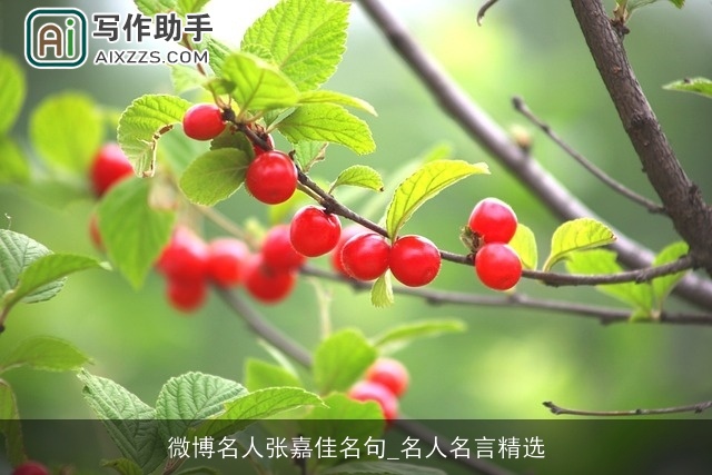 微博名人张嘉佳名句_名人名言精选